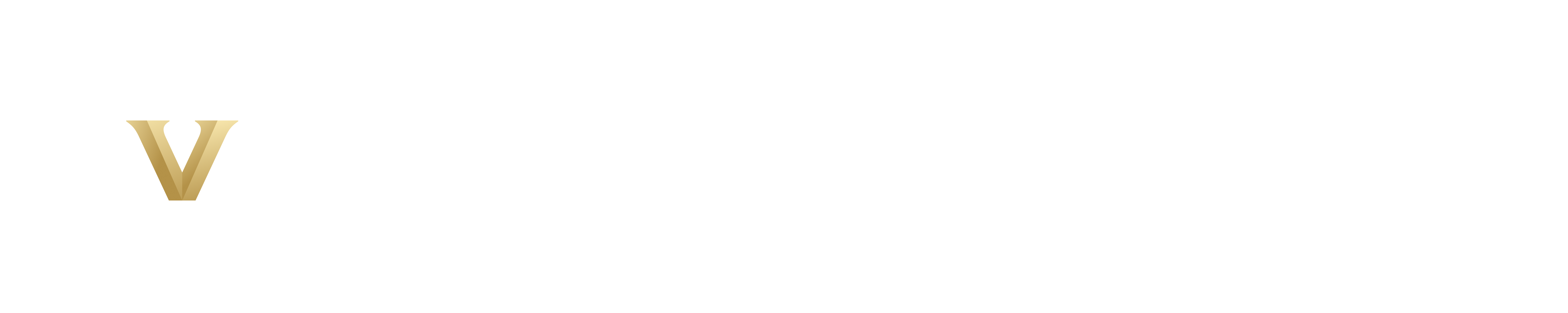 The Vanderbilt Fusion Project